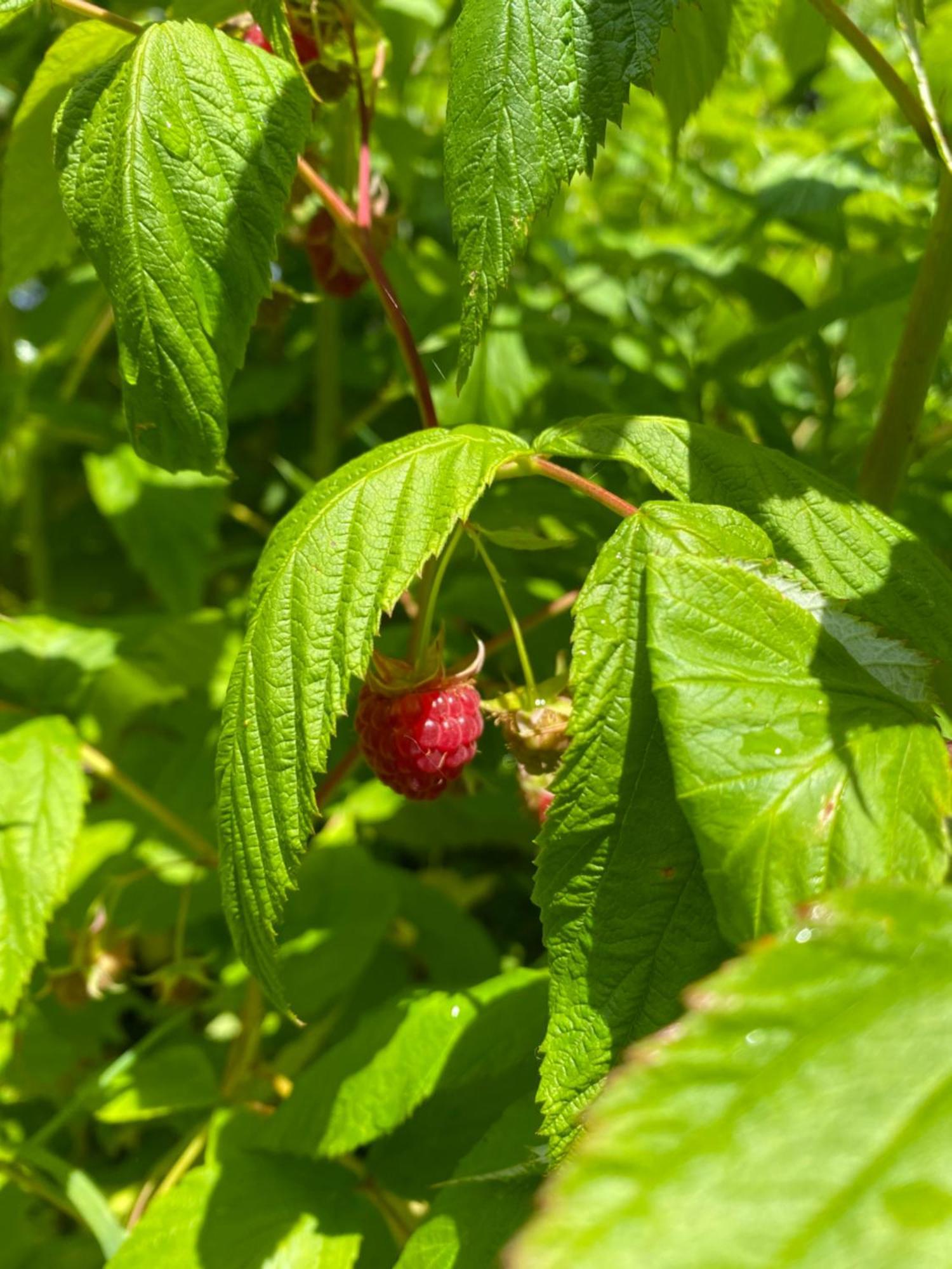 L'Hotie De Broceliande, Au Coeur Des Sites Naturels Et Legendaires Paimpont Ngoại thất bức ảnh