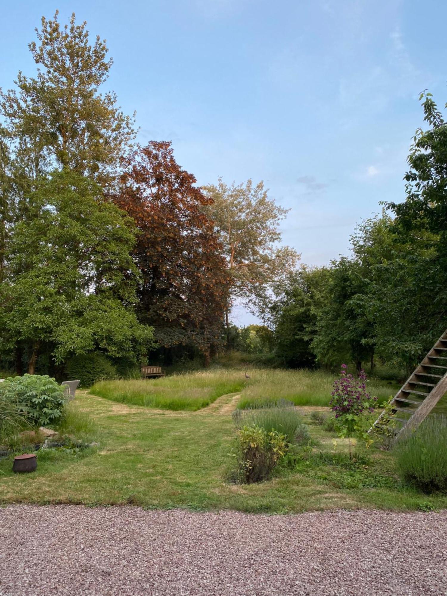 L'Hotie De Broceliande, Au Coeur Des Sites Naturels Et Legendaires Paimpont Ngoại thất bức ảnh