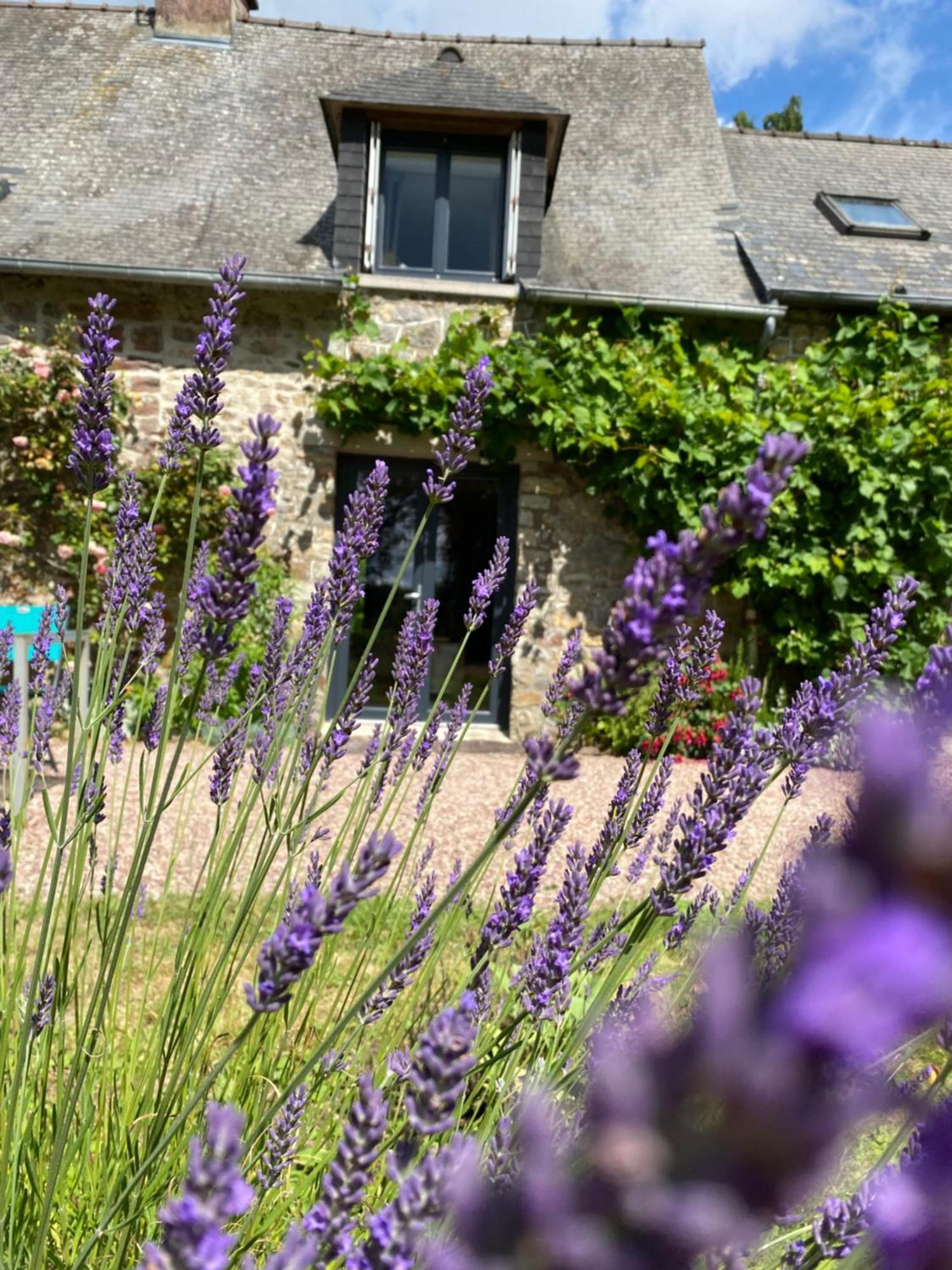 L'Hotie De Broceliande, Au Coeur Des Sites Naturels Et Legendaires Paimpont Ngoại thất bức ảnh